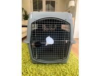 petmate sky kennel xlarge